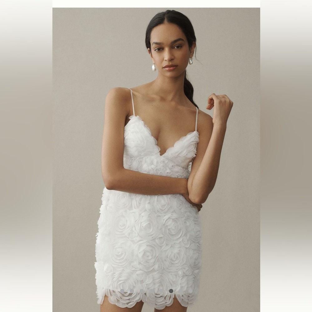 ANTHROPOLOGY BHLDN V-NECK TULLE ROSETTE MINI DRESS - Picture 3 of 11